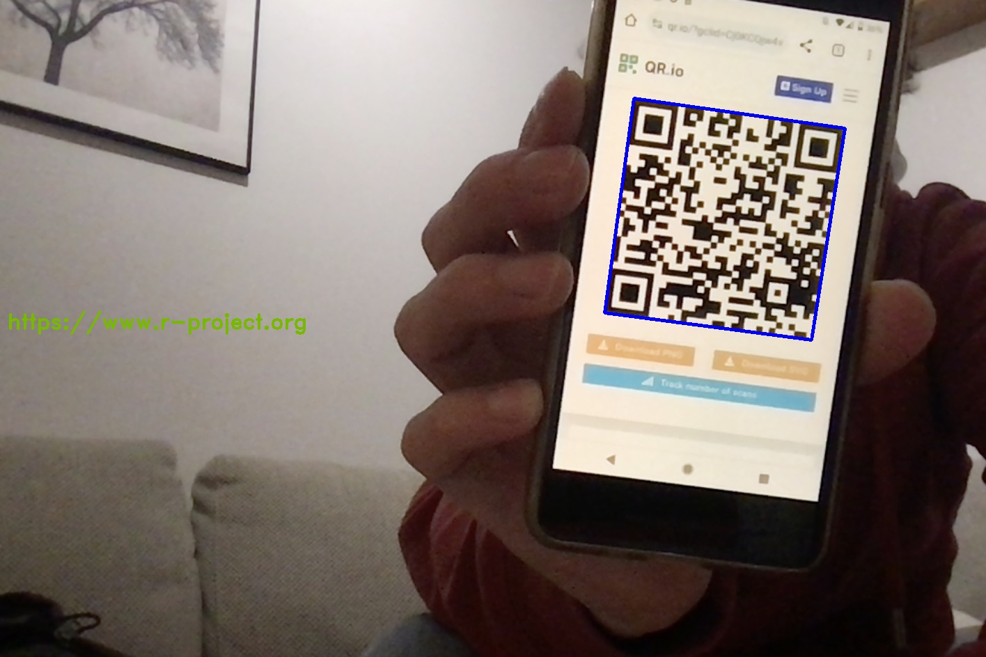Annotated output which shows the input plus highlighted QR area