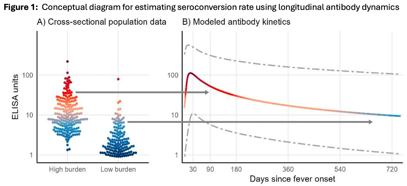 A conceptual diagram with two panels: (A) shows dot plots of antibody levels (ELISA units, log scale) for high-burden and low-burden populations, with higher values in the high-burden group; (B) displays modeled antibody levels over time since fever onset, illustrating a rise and gradual decline, with horizontal arrows linking population data to antibody kinetics.