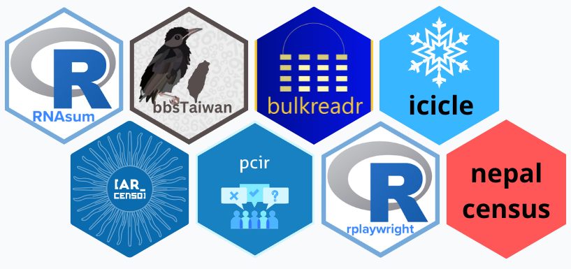Logos of all the packages developed or improved during the champions program 2023-2024